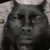 sodani666