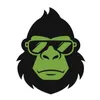 gorillajetwash