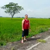 phencris.naipul