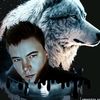 wolf0652