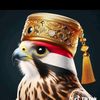 user9805345060682