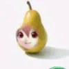 teto_pear_