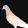 w_jdj1
