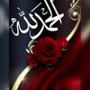 amoun1131