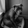underdog_hustle