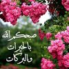 user6198431686141