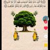 abdoul.kader.maga76