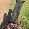 ranyca_guimaraes1