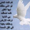 user25052836748504