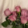 leenxx194