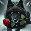 rahal_2025