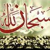 user4050749048277