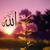 najwaladhibi876