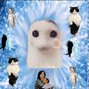 patrick_1217_