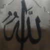 hanine.hanine31