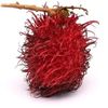 niche_fruit