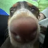 kiki..duh_