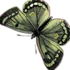 usurio75831