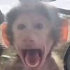 clumsymonkey