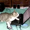 melody_portals_