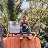 cangkul.bumi