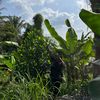 agung_pranata_s_se_mm
