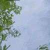 shaa_ajaya