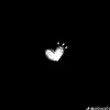 araleeewww