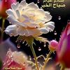 user5466316766105