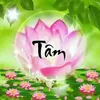 tam.nguyen.minh033
