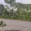thanh_truc2413