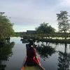 niutt33