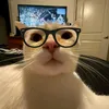 haoduy_1