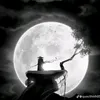 honkesitinh210