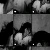 puspa2573