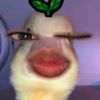 jnynrannp