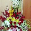 user2769158418416