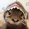 capybara_468