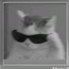 faris_10290