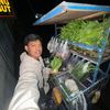 Um sayur