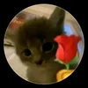 lapupupupu