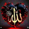 waqaralig02