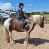 hobbyhorse174