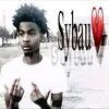 sharik456_ia.kryt