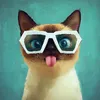 mistyy_dream