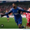 robin_sim_21