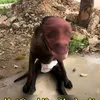 t_ngoc01