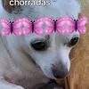 maria.pilar.gimen84