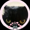 user19136792715750