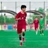 hsne__29
